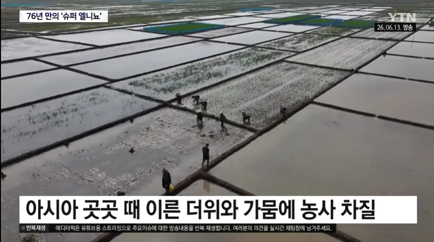 슈퍼 엘니뇨로 인한 아시아 지역 가뭄과 농사 피해를 다룬 뉴스 화면