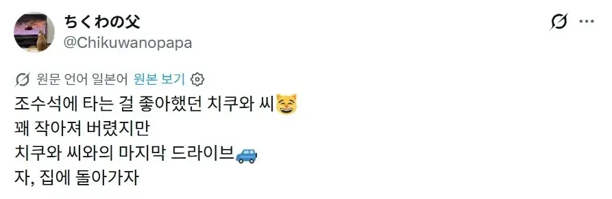 조수석을 사랑했던 고양이와의 마지막 드라이브
