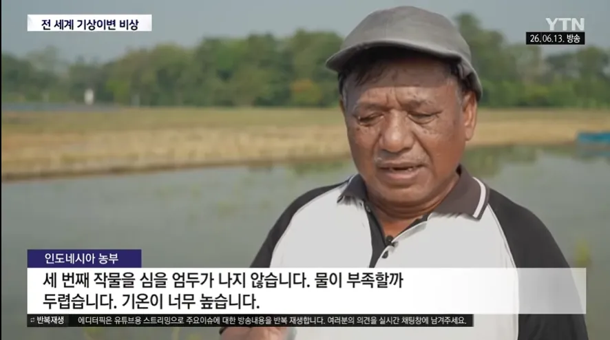 슈퍼 엘니뇨로 가뭄에 시달리는 인도네시아 농부