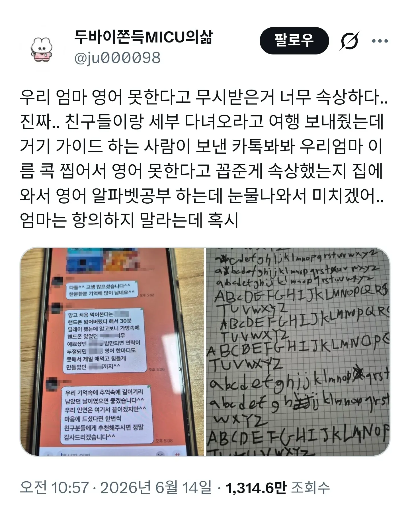 영어를 못한다고 개꼽주는 관광 가이드