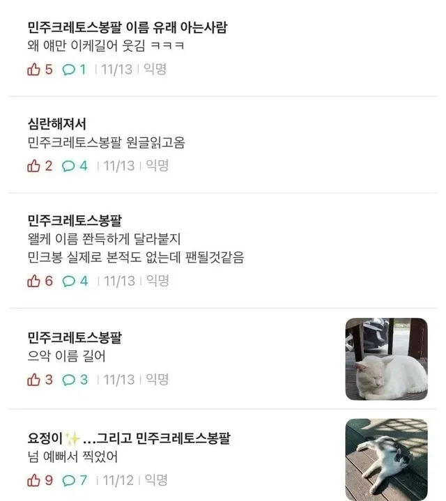 고양이 이름 '민주크레토스봄팜'에 대한 반응 대화