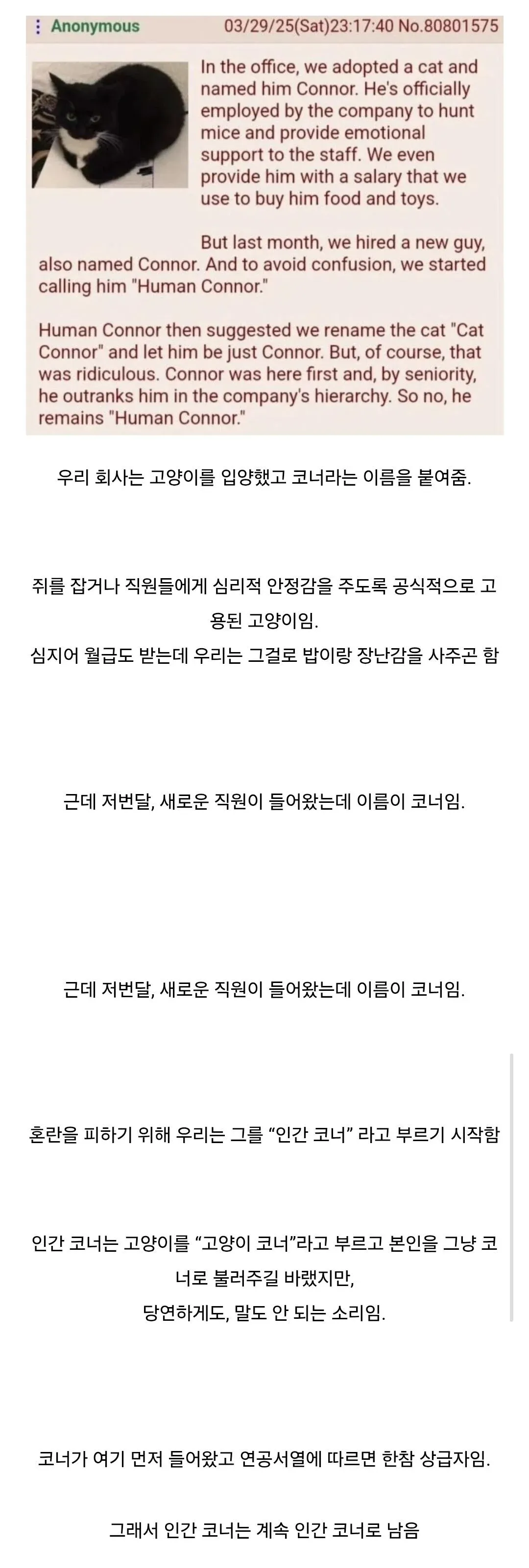 고양이와 신입이 같은 이름 Connor. 선배를 존중하는 직장 문화 유머.