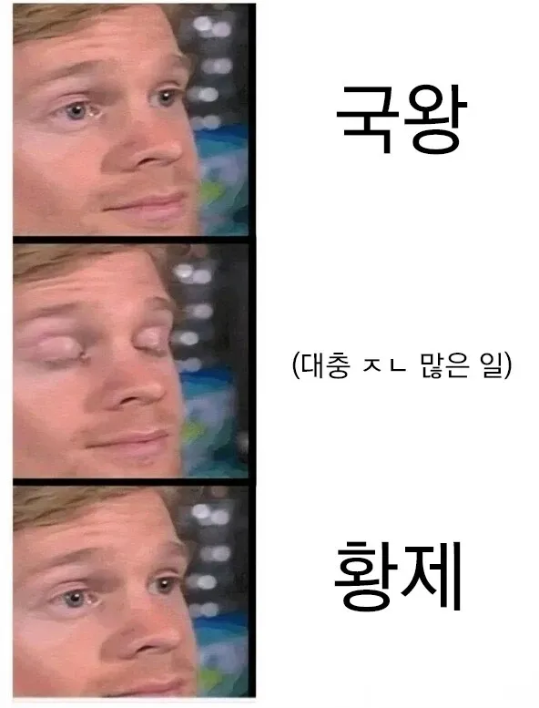 프랑스 혁명을 국왕과 황제로 설명하는 밈