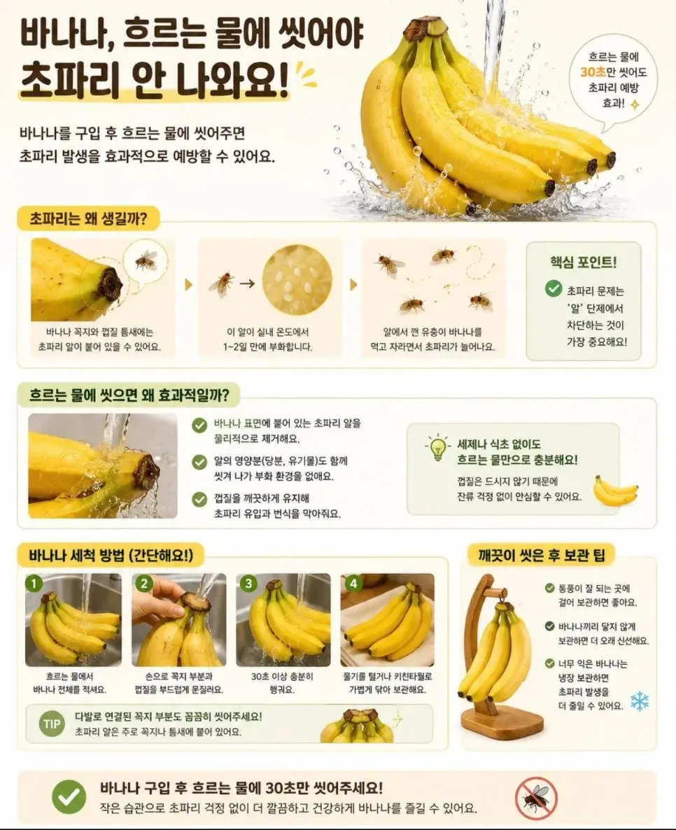 바나나를 물로 씻어 초파리 예방하는 방법 안내