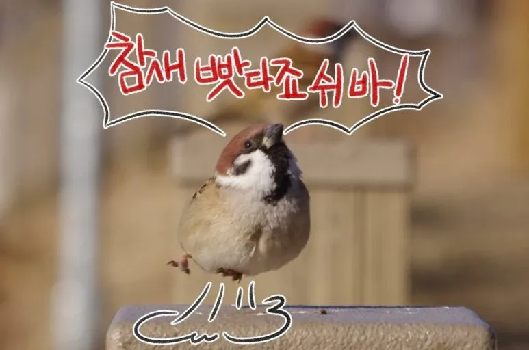 디즈니랜드를 방문한 안내견