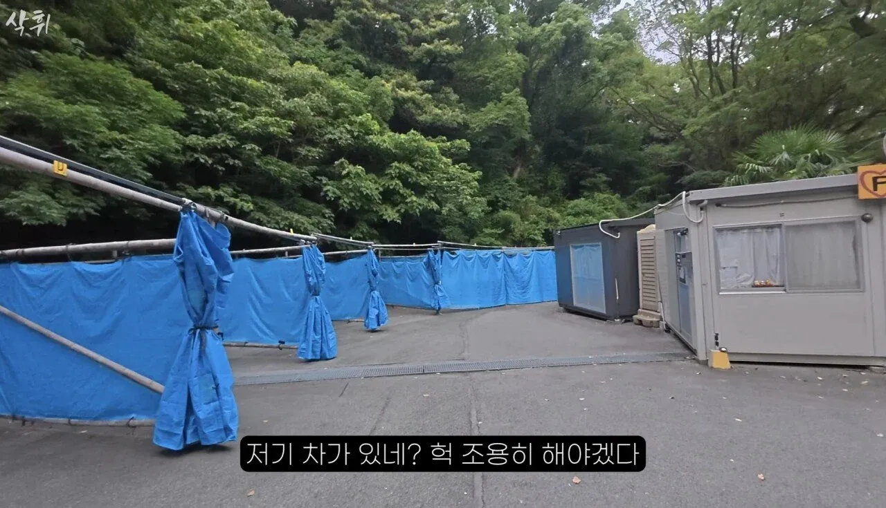 일본 고양이 전용 주차장에 주차된 차