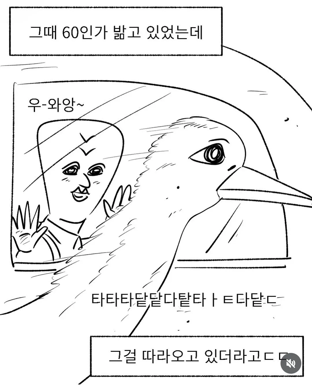 군생활 중 낙타를 목격한 경험담을 그린 만화