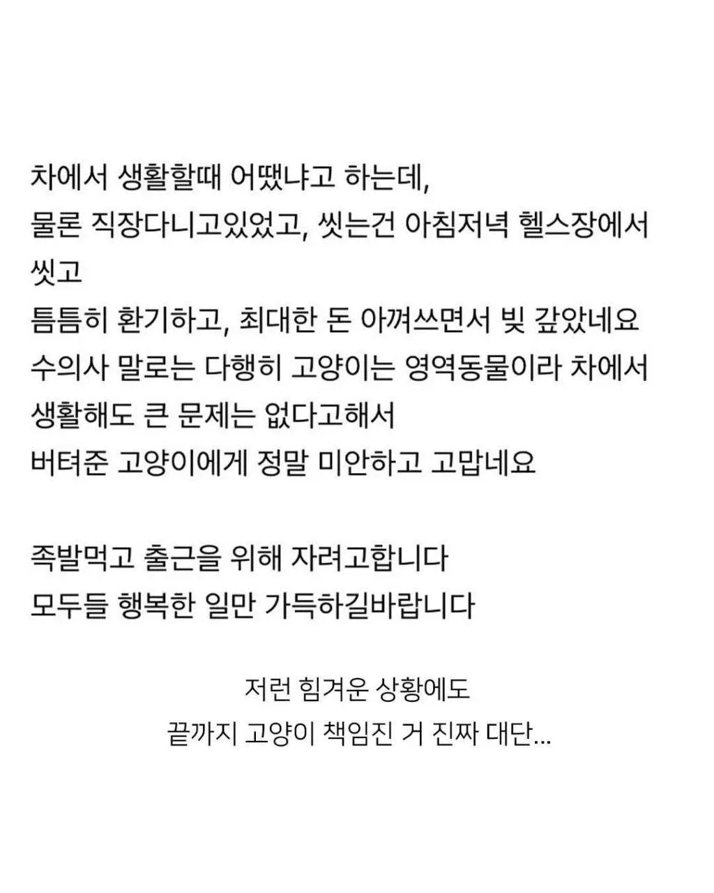 차에서 1년반 생활하며 고양이를 끝까지 돌본 경험과 새집 입주 축하 댓글