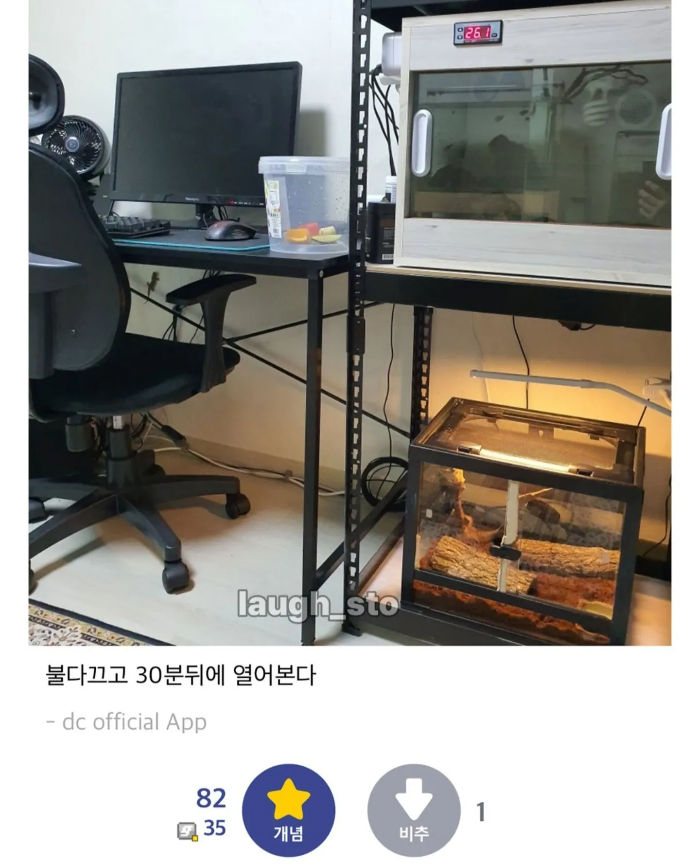 DC 앱 싱글벙글 도마뱀 찾기: 불다꼬고 30분뒤에 열어본다
