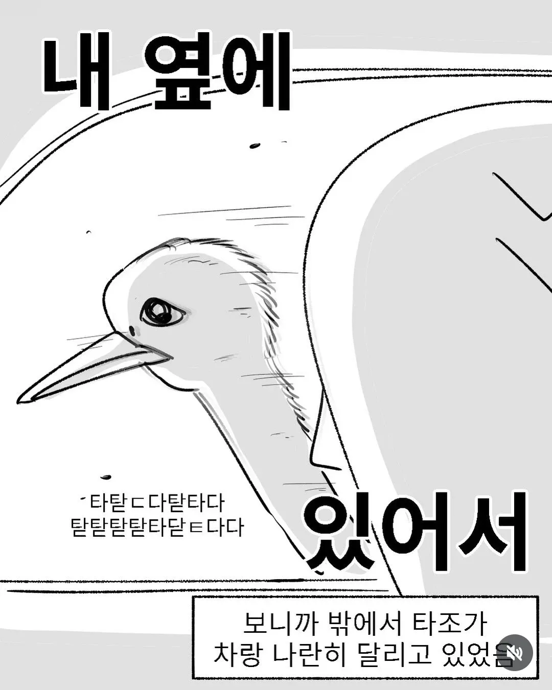 차와 함께 달리는 타조를 그린 군생활 만화