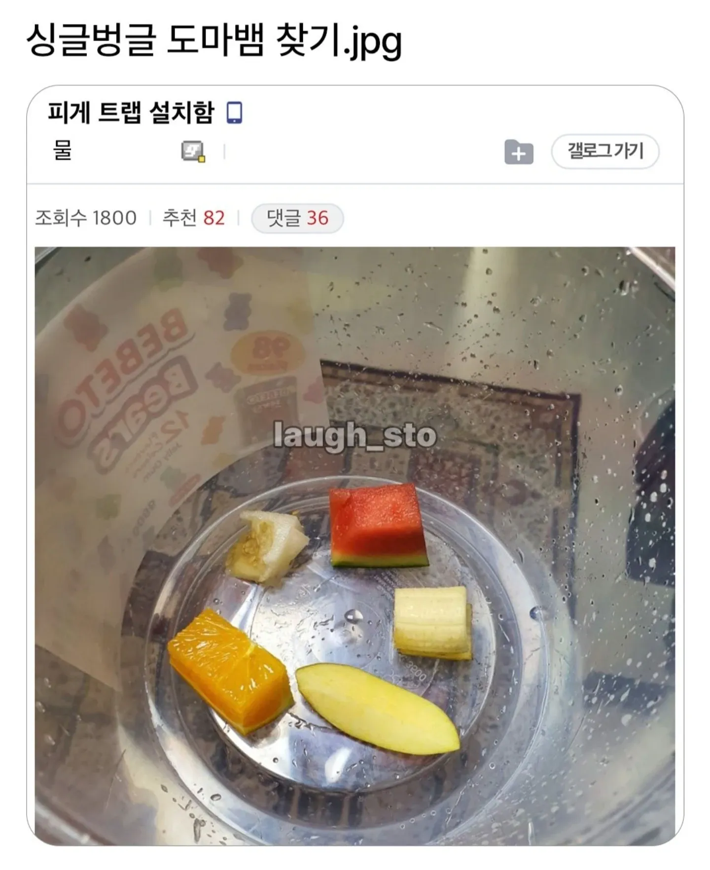 싱글벙글 '도마뱀 찾기' 게시물, 조회 1800 추천 82