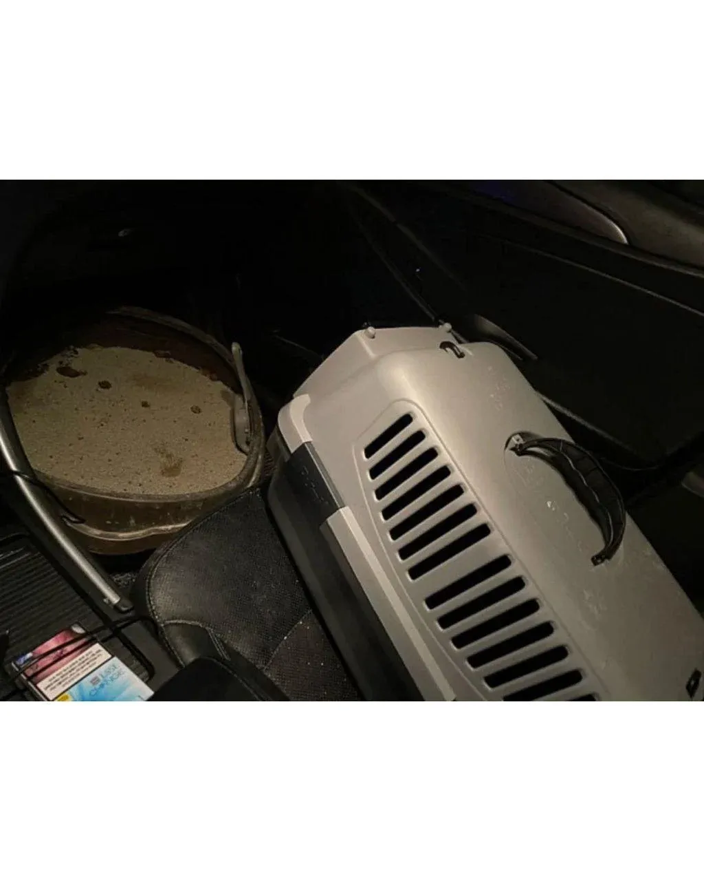 전세사기 후 차에서 1년반 생활, 새집 입주