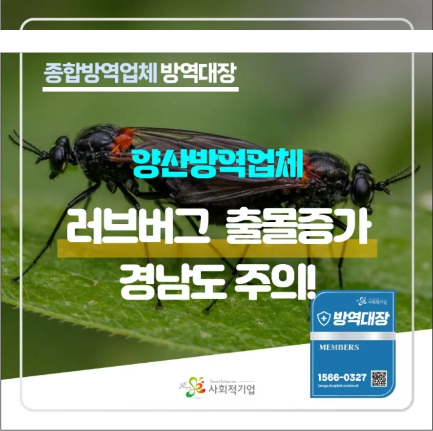 경남도 러브버그 출몰 주의 경고문