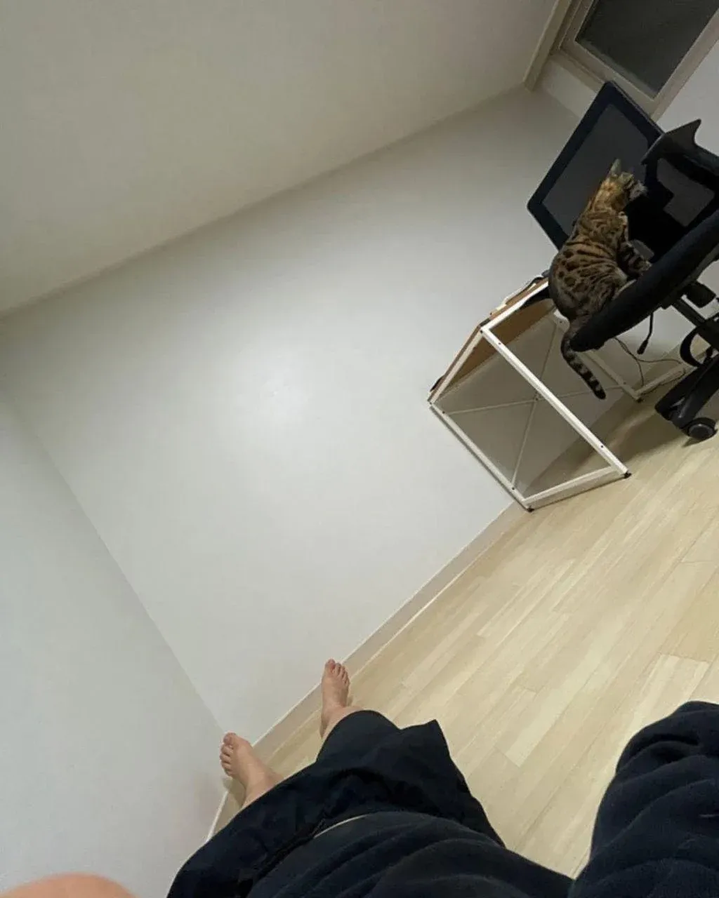 전세사기 후 차에서 1년반 생활, 새집 입주