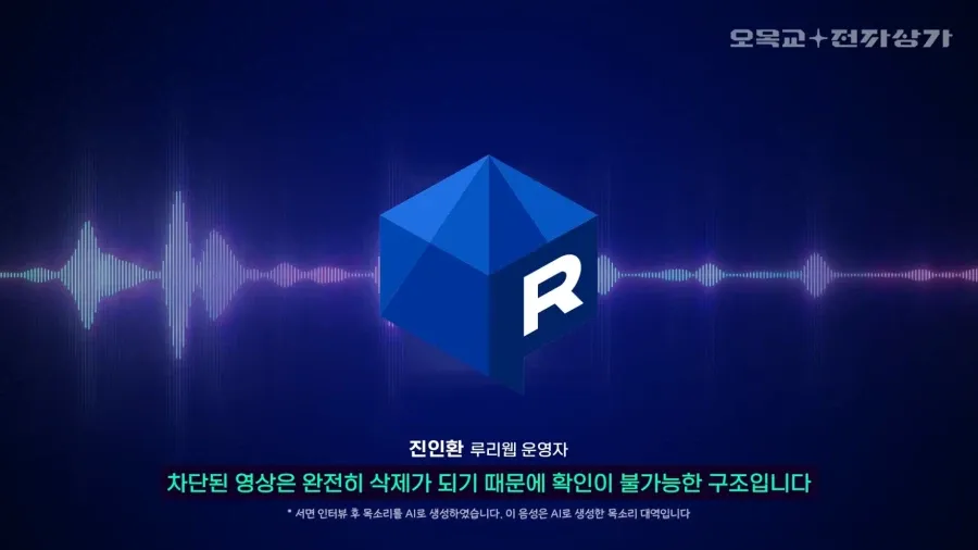 차단 영상 자동삭제 시스템 및 검열법 관련 설명 화면