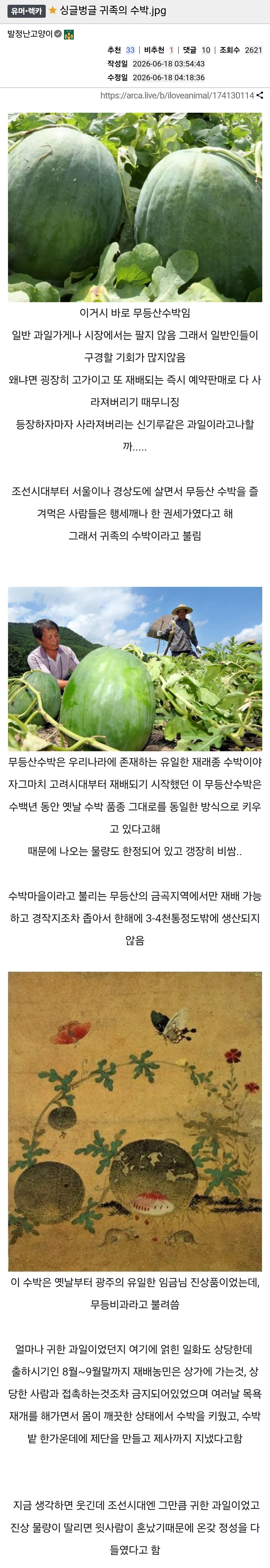 귀족의 과일 무등산 수박 소개. 고가이며 예약 판매로 판매되는 희귀 과일