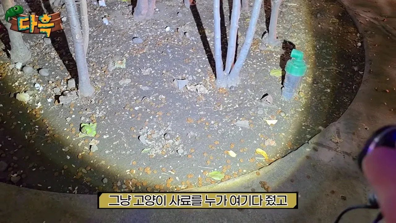 서울로7017에서 바퀴벌레와 이상한 냄새를 지적하는 유튜버