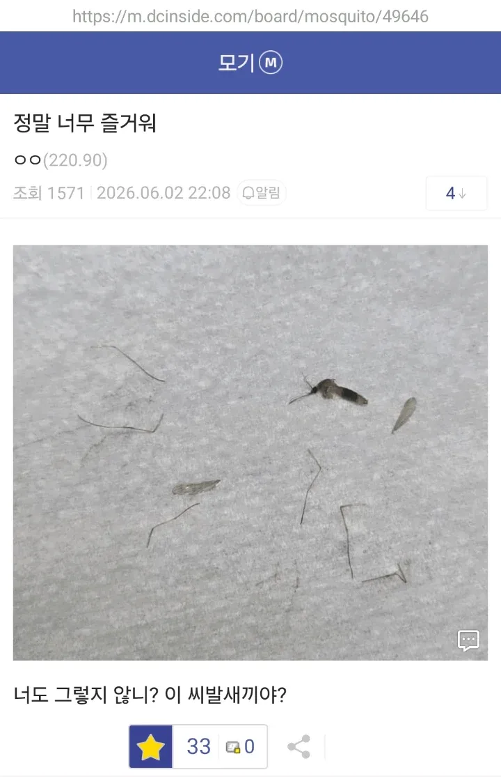 갤러리 댓글 스크린샷, 여름 시즌 게시물 반응