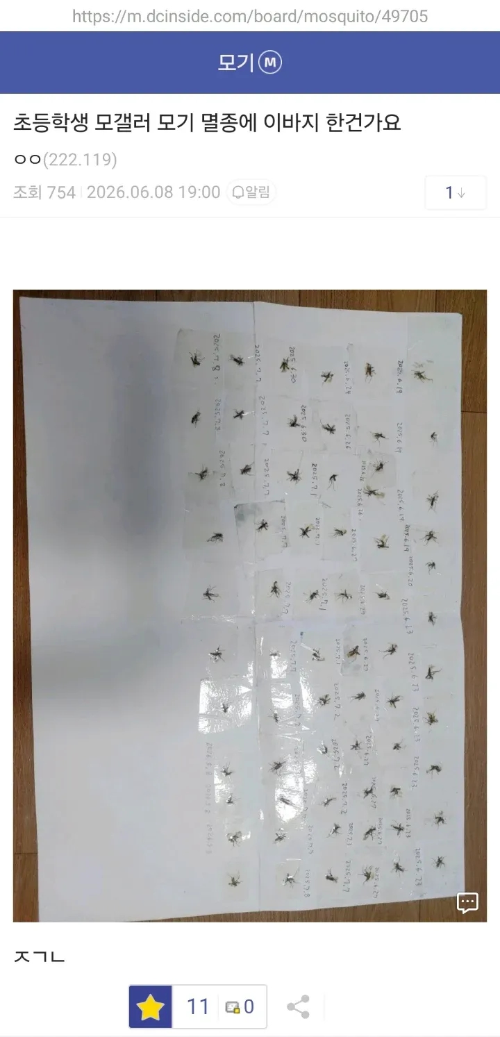 여름 갤러리의 모기 게시글에 달린 사용자 댓글 스크린샷