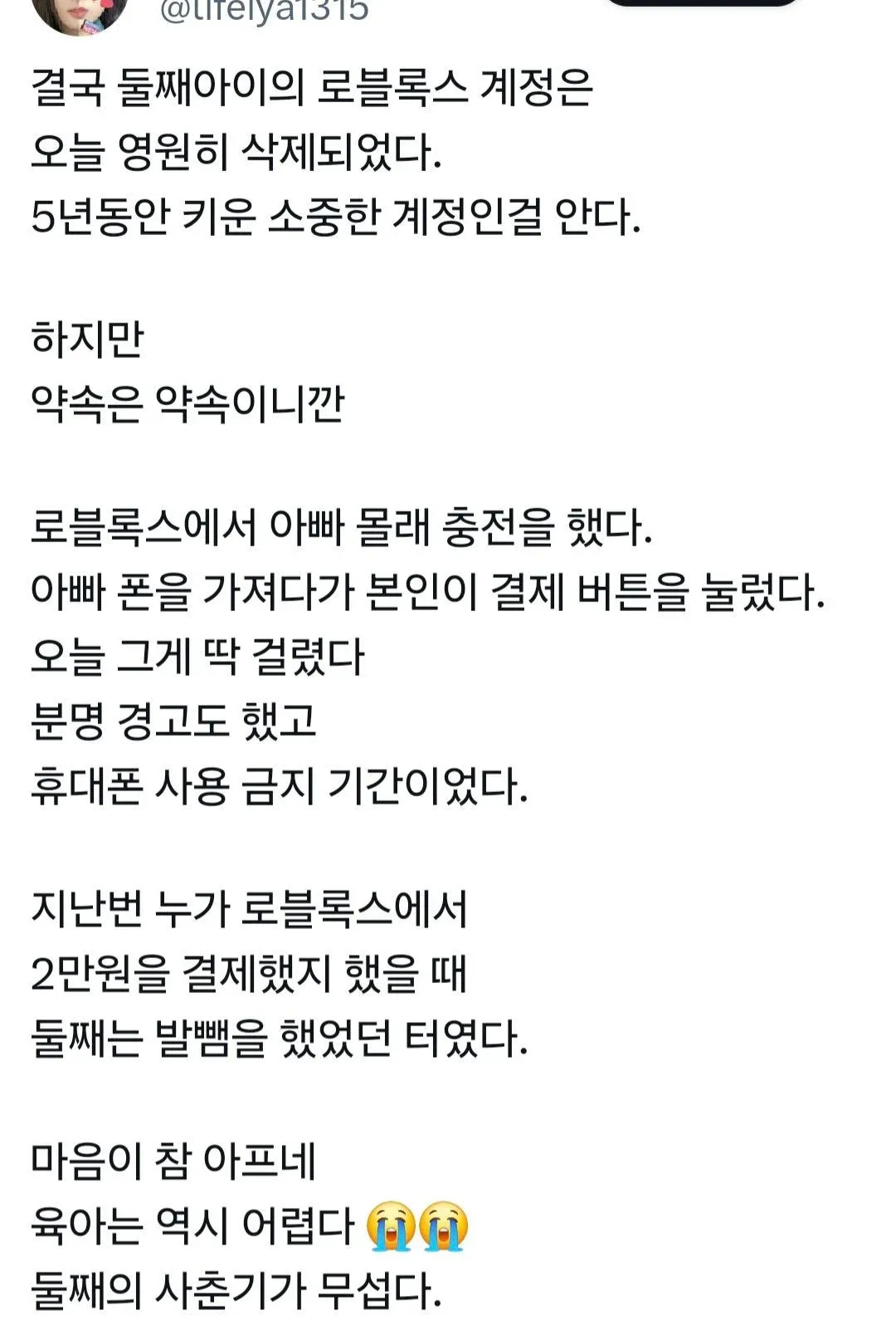 로블록스 과금으로 계정이 삭제된 상황에 대한 부모의 양육 일상글