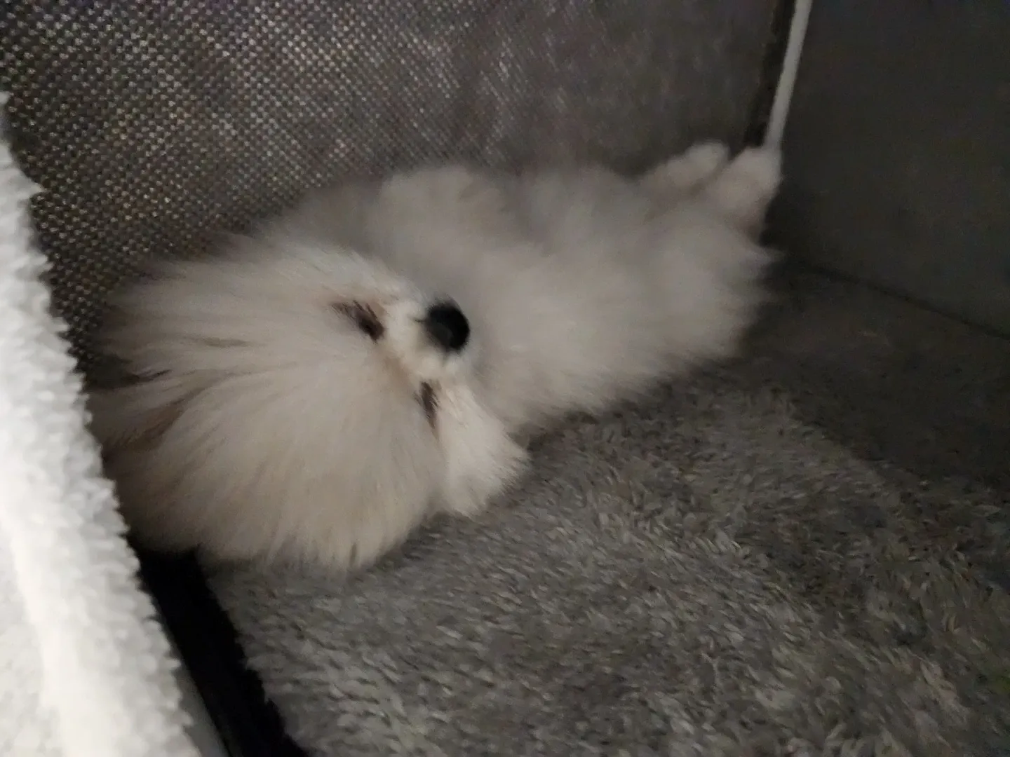 우리집 삼대장 가족사진