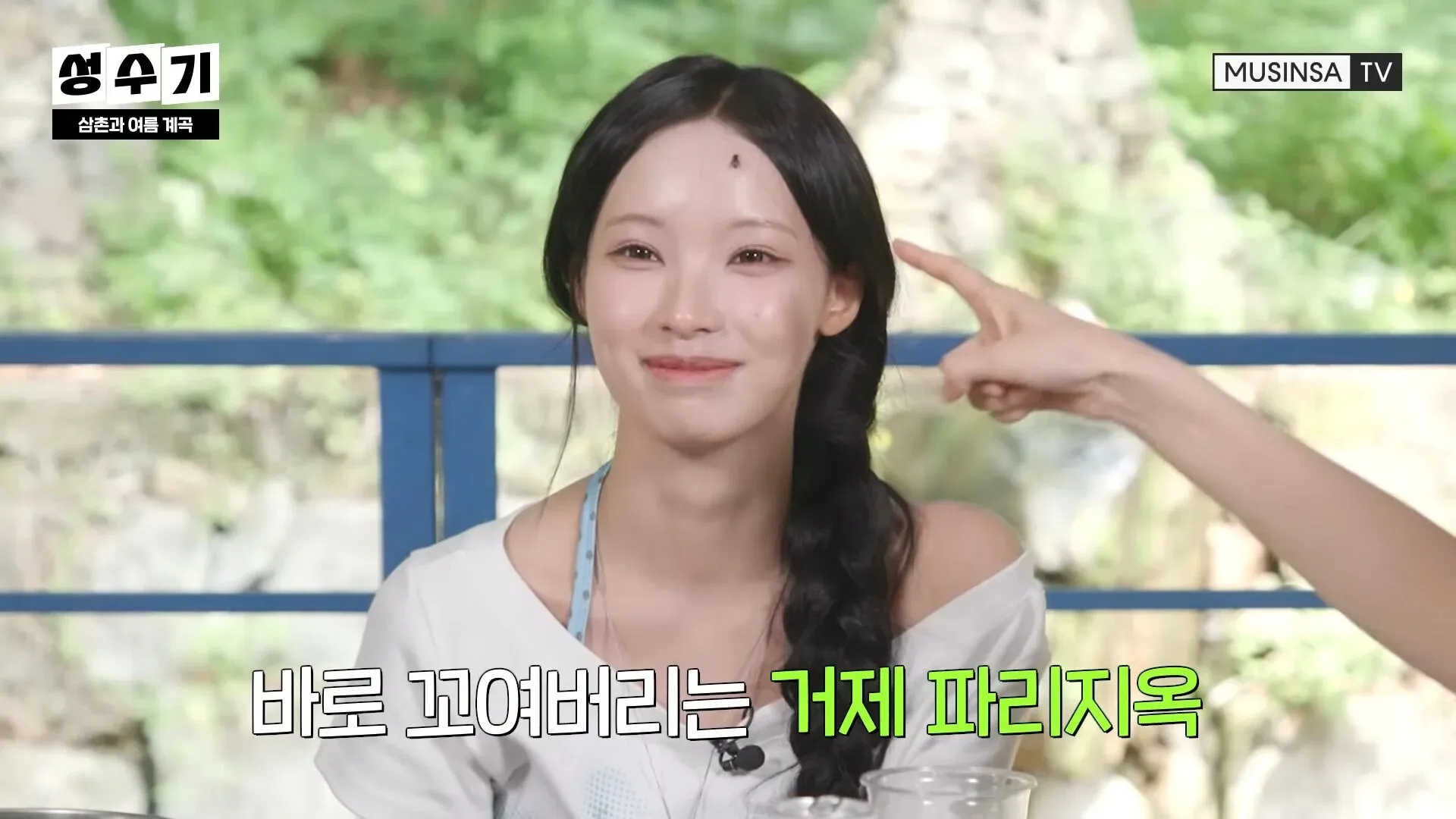잎이 서로 꼬여버린 거제 파리지옥 식물 사진