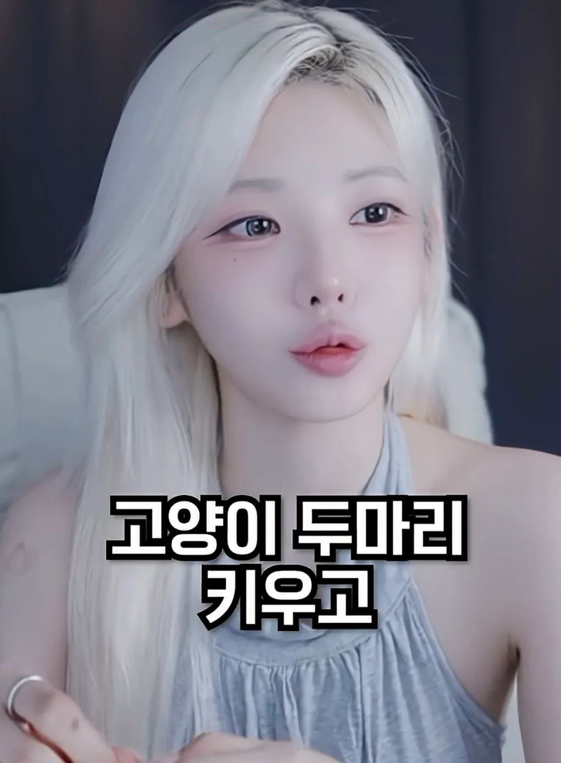 ?쒓렇瑜??

*??: ????
*??: ???

??: ???????. 
??: ??????????.
??: ????????

??: ?????
??: ?????
??: ????