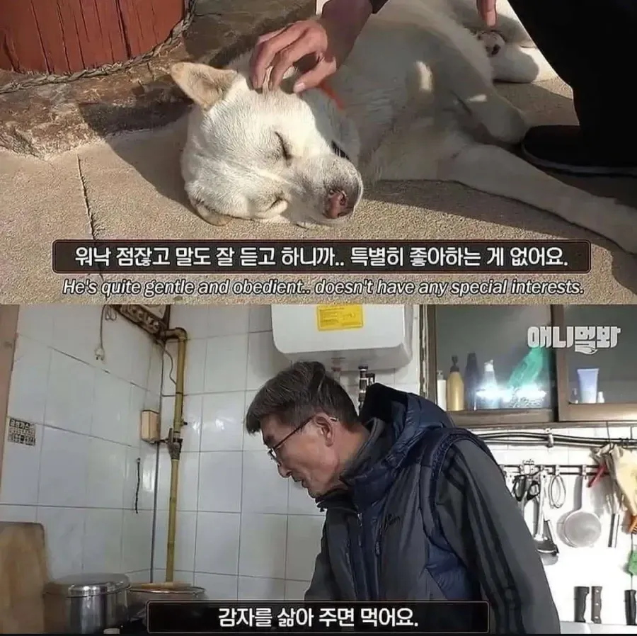 ??
- ??? ?????
- ?? ?????
- ???? ?????

The user is asking about why a dog doesn't have a strong sen