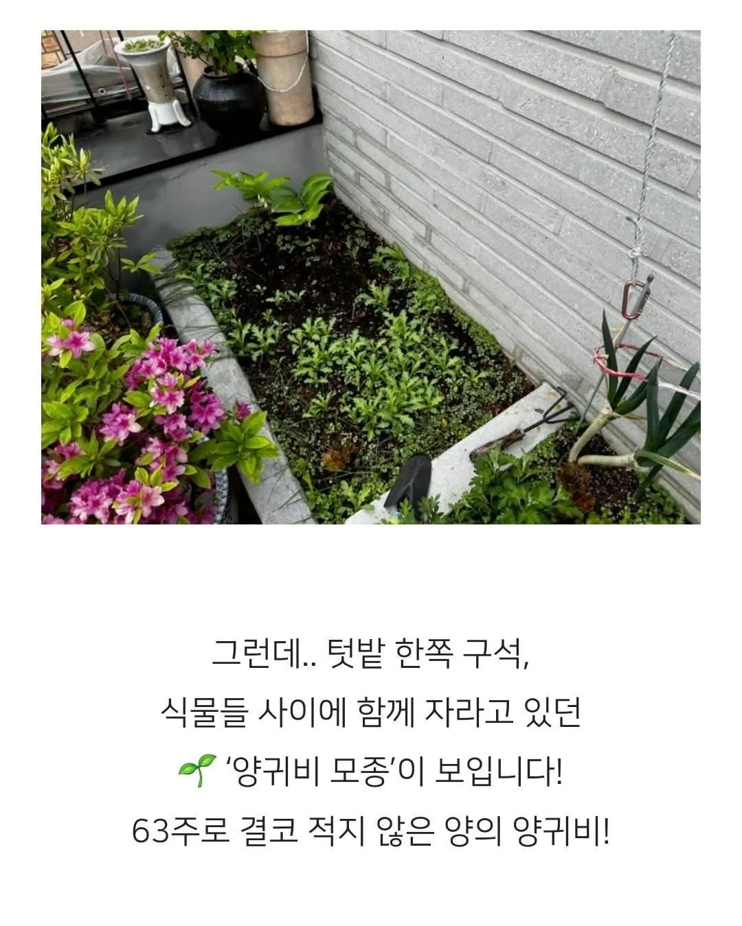 ??"??
- ?? ?ㅕ? ?ㅕ? ?ㅕ?

The user's message is a mix of random text and some symbols. It seems like t