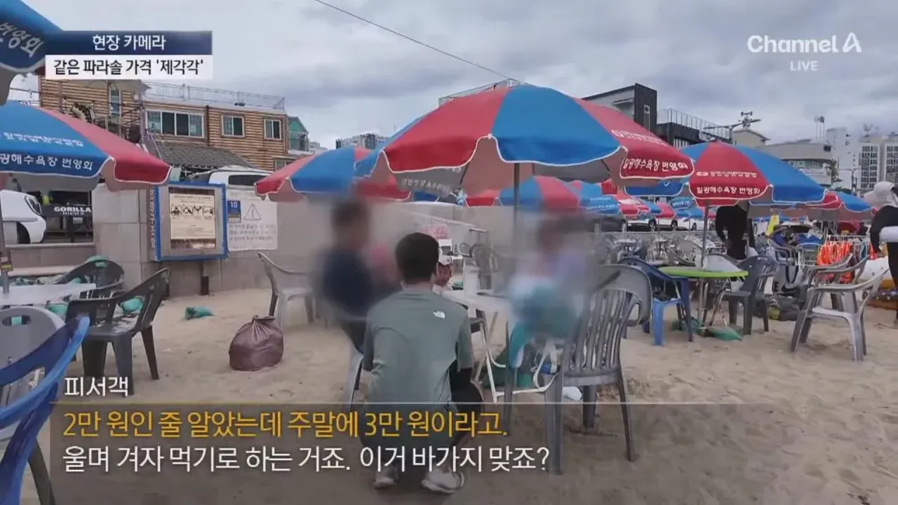 The user is asking about the price of a parasol (파라솔) and whether it's reasonable to pay 3 million w