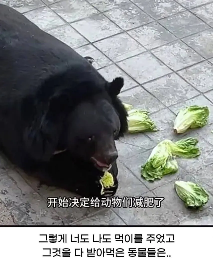 ??
- 쑩?ㅵ?ㅫ?ㅾ?ㅵ?ㅺ?ㅵ?ㅽ?ㅺ?ㅵ?ㅾ?ㅷ?ㅺ?ㅵ?ㅾ?ㅷ?ㅺ?ㅵ?ㅾ?ㅷ?

The text you provided seems to be a mix of random cha