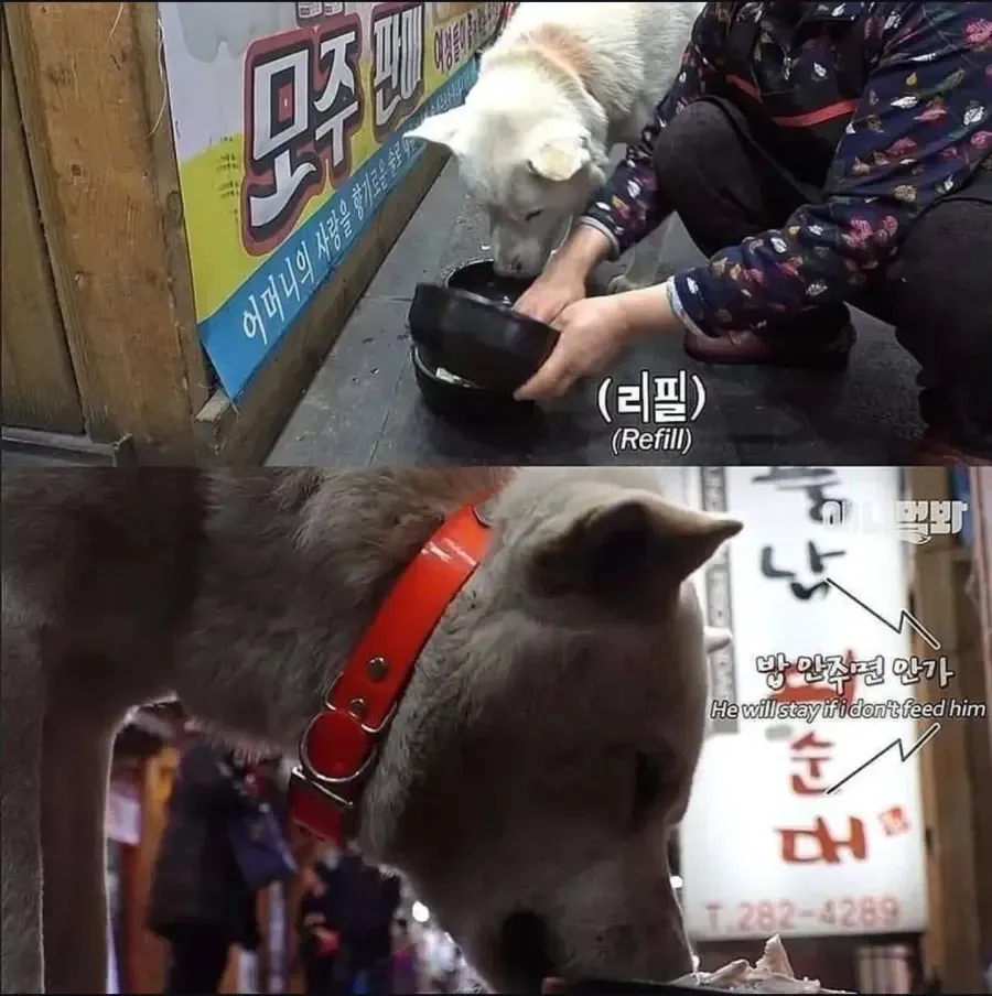 ?ㅻ??
?- 1. ?ㅷ? 2. ?ㅷ?

?ㅻ??
?ㅷ? 1. 麵? ? 2. ? 3. ? 4. ?

?ㅷ? 1. ?? ? 2. ??? ? 3. ?????? ? 4. ?
?ㅷ? 2