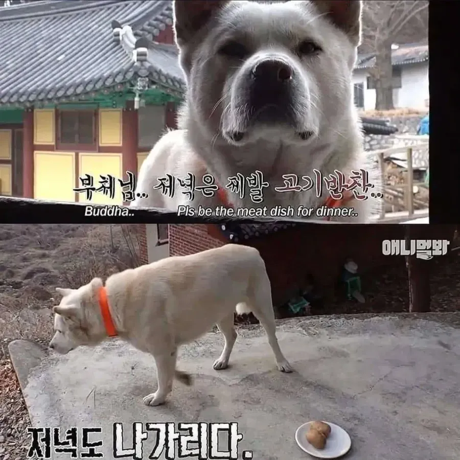 - 케이크? 100% 률??
- 99.9% ???????

Your task is to translate the above text into English.
Okay, let's