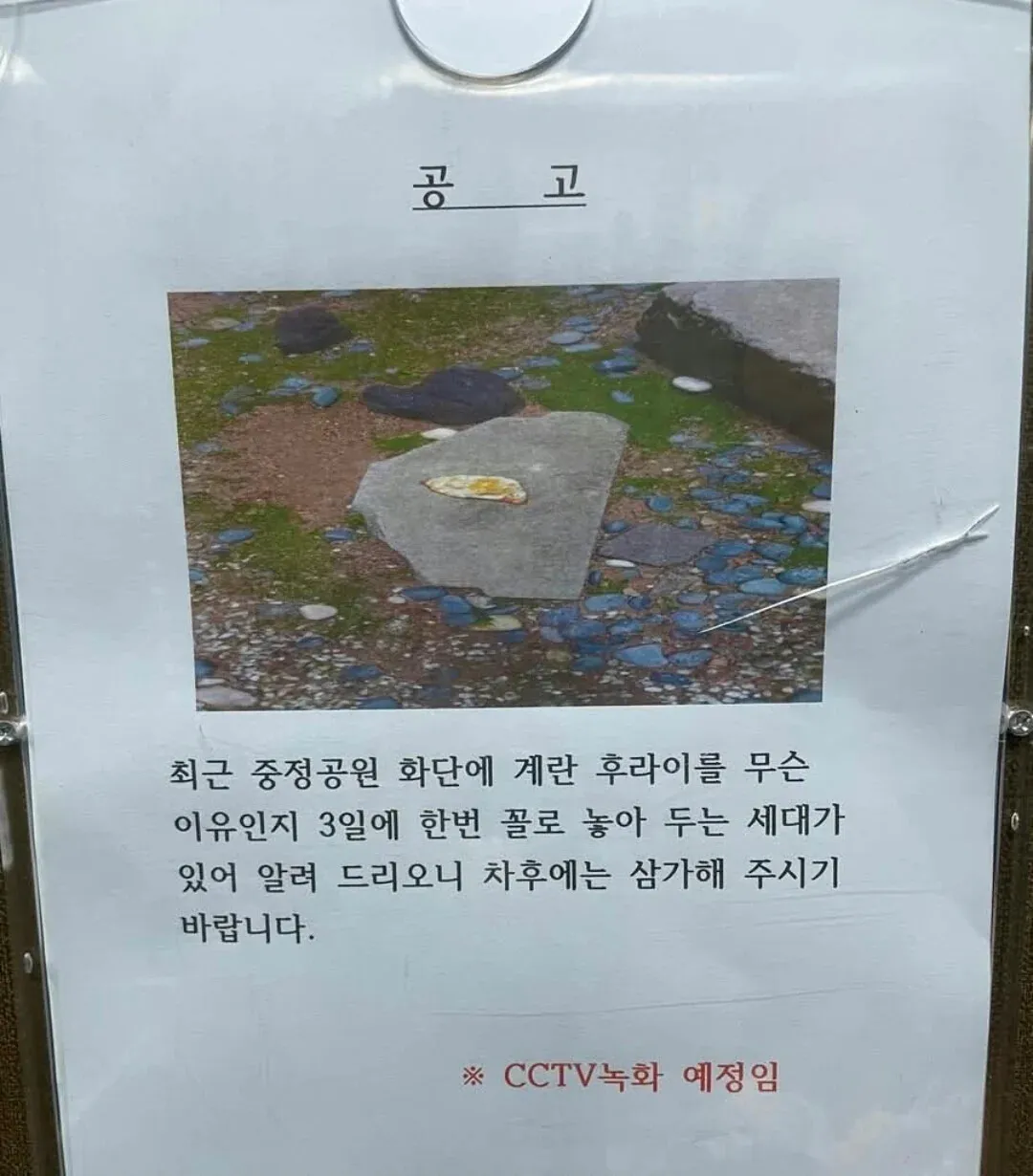 ??
- 爾? ?ㅱ? ?ㅻ? ?ㅷ? ?ㅷ? ?ㅷ?

It seems like you're trying to process some text that has been corrupte