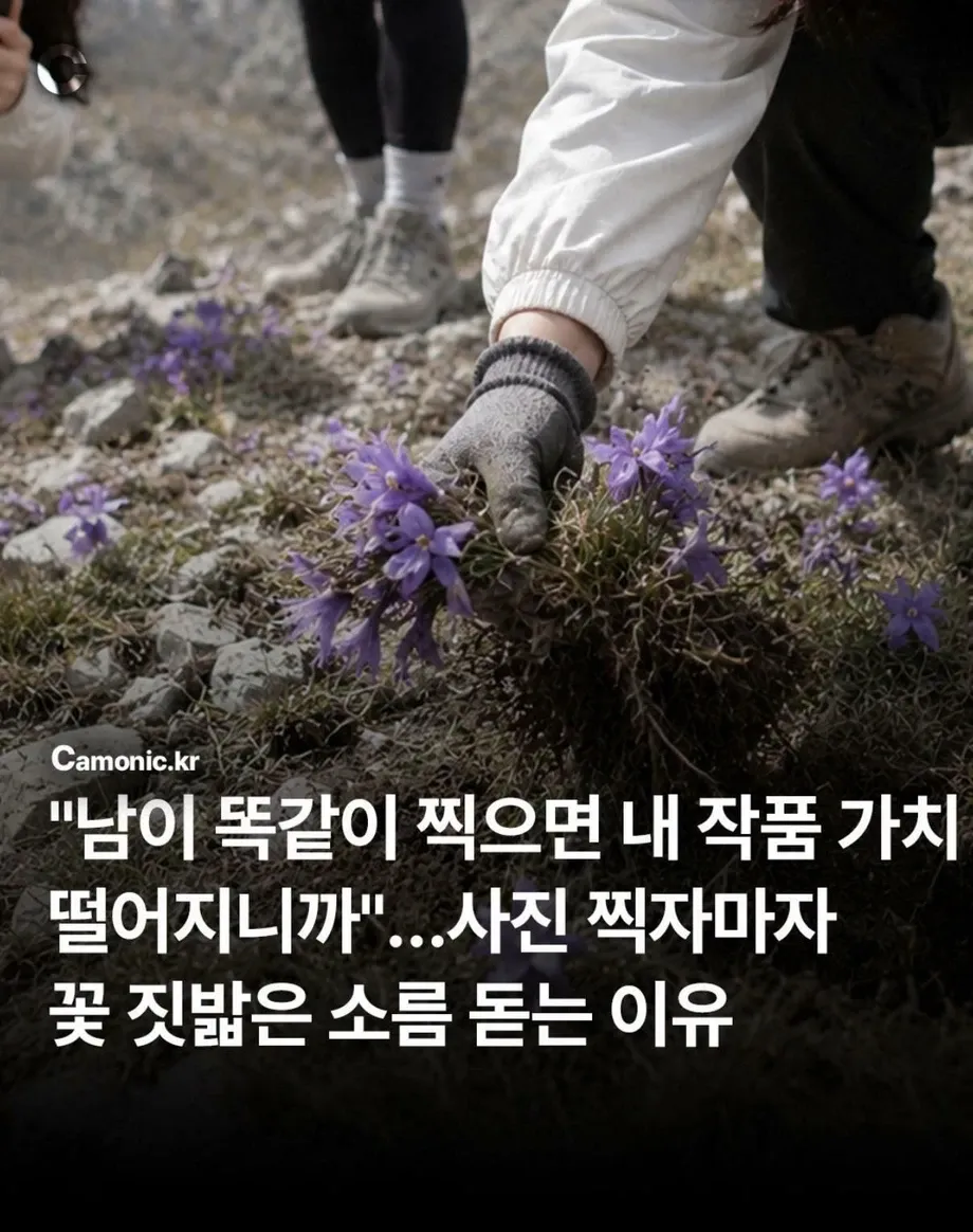 ??
- 캡차 풀기??
- 꼭??.?

The user is asking about the value of their artwork if it's stolen, and they m
