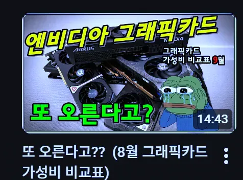 엔비디아 그래픽카드 가성비 비교표와 9월 추가 인상 전망