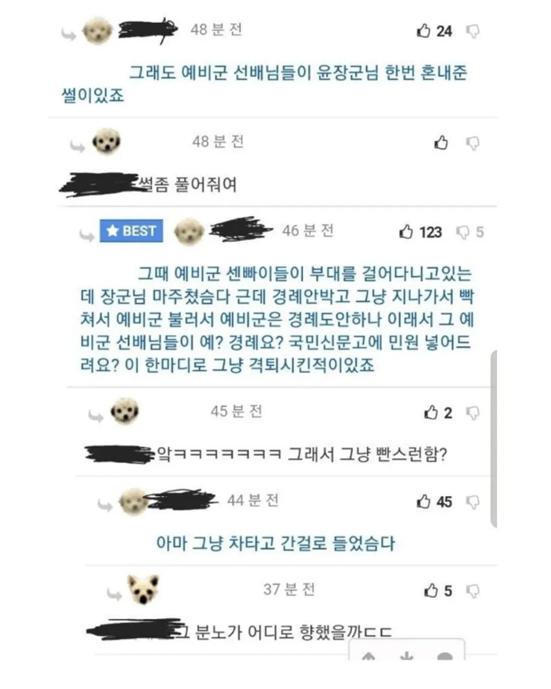 장군의 경례 지적에 예비군들이 국민신문고 민원으로 응수한 일화 게시물