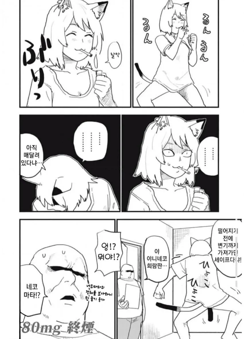 담배를 문 고양이가 시청자를 노려보는 모습