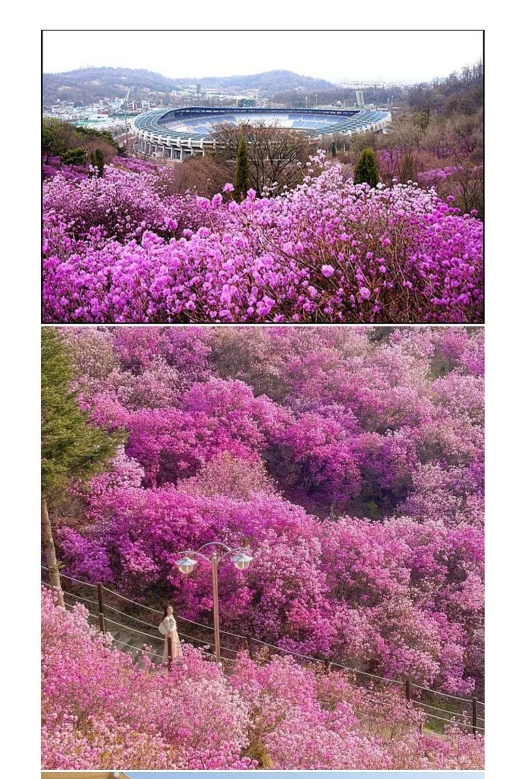 공무원의 광기를 보여주는 산 풍경