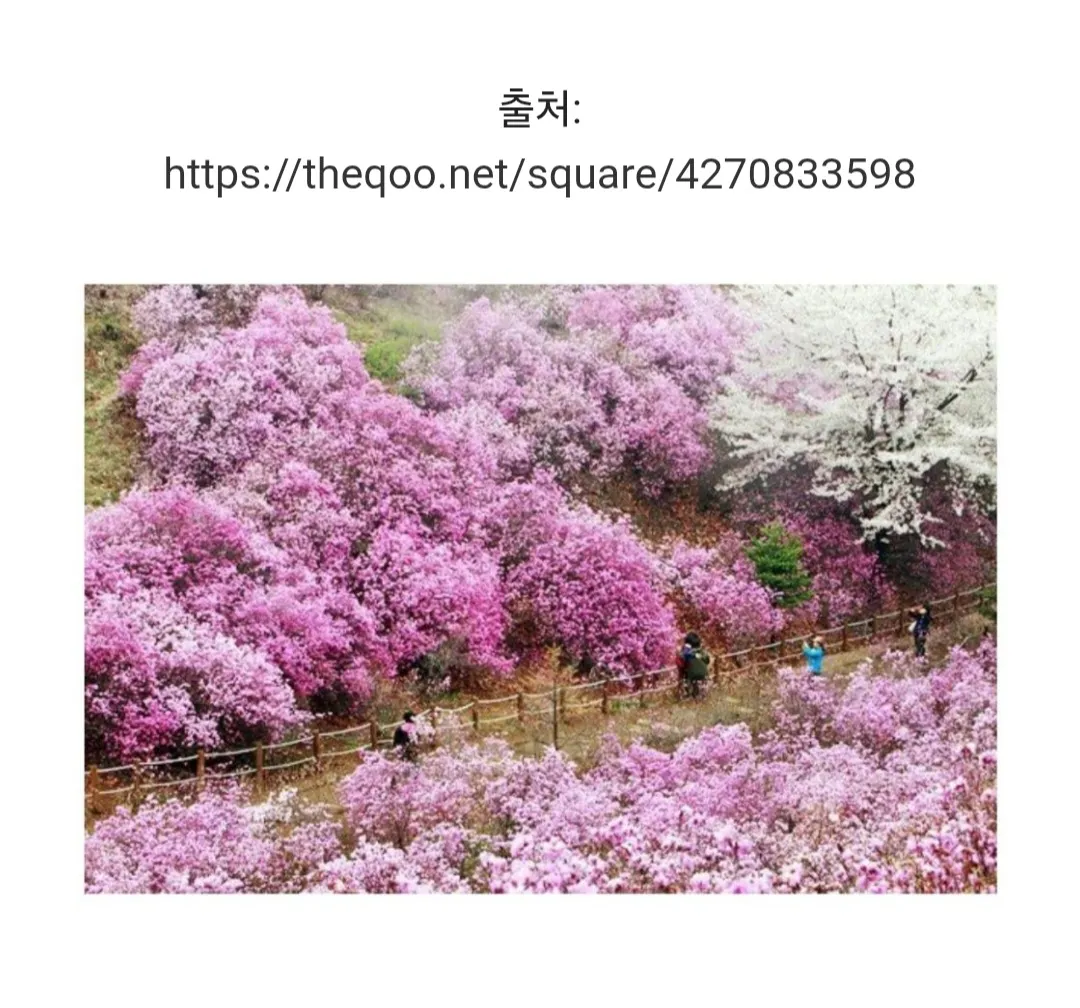 출처:
https://theqoo.net/square/4270833598