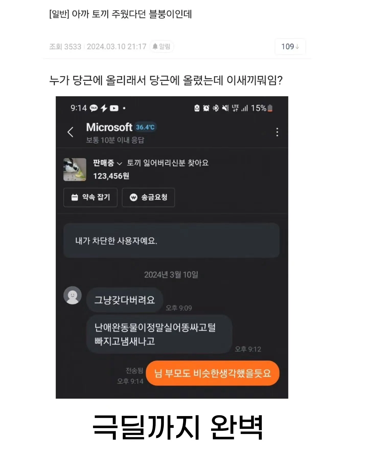 디시인사이드 게시물 캡처 화면. 길에서 주운 토끼를 찾는다는 글에 “당근에 올려보라”는 조언과 애완동물을 비하하는 댓글들이 달려 있다.