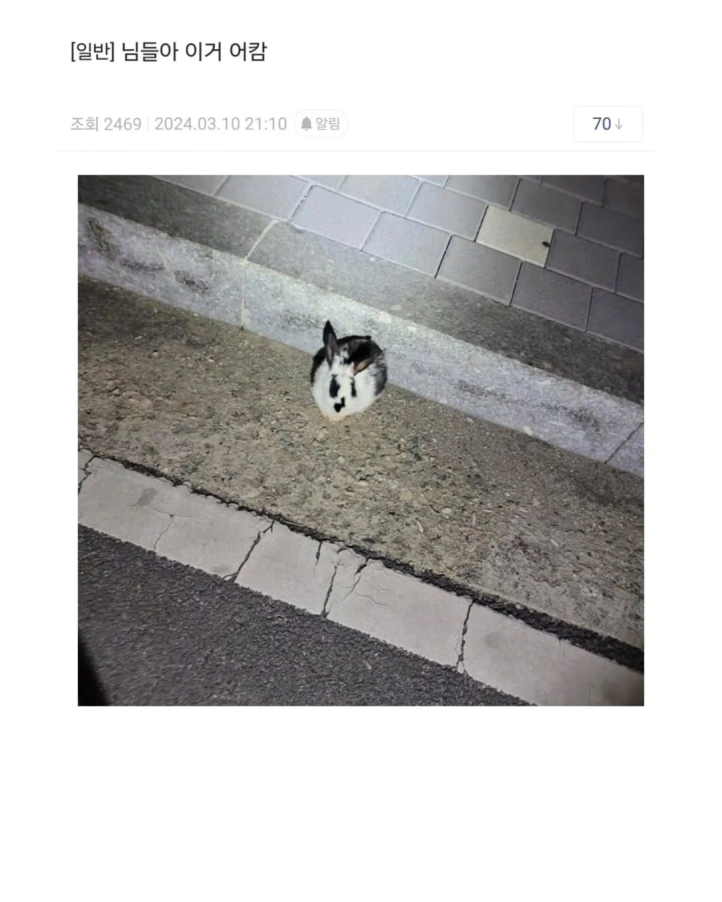길거리에서 토사물을 줍는 사람의 사진
