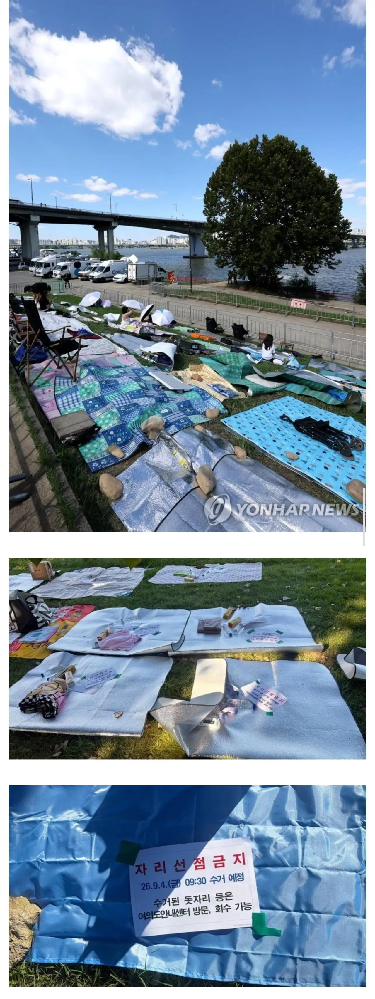 여의도 돗자리 자리 선점 금지 및 9월 4일 수거 안내