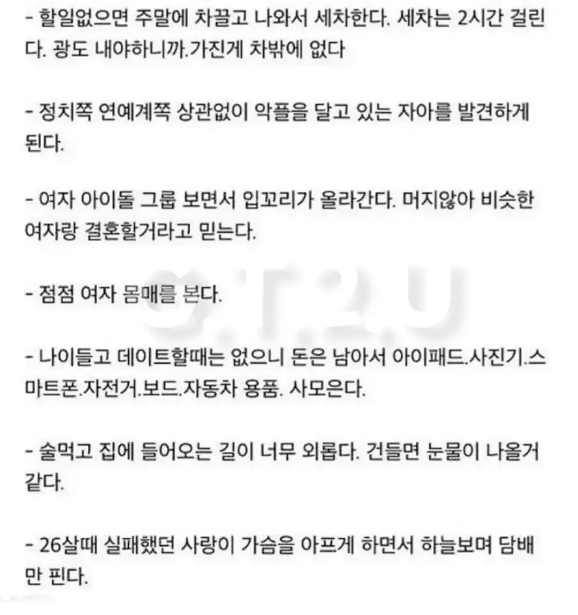 30대 후반 노총각의 특징을 풍자적으로 나열한 글 이미지. 세차와 자동차 용품 수집, 악플, 여자 아이돌 선호, 외로움과 과거 연애 상처 등을 언급한다.