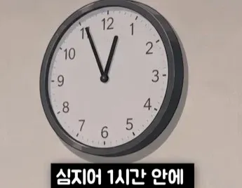 지방직 공무원 업무 과정을 설명하는 안내 이미지