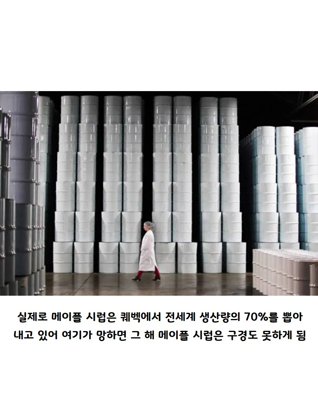퀘벡이 전 세계 메이플 시럽 생산량의 70%를 차지함