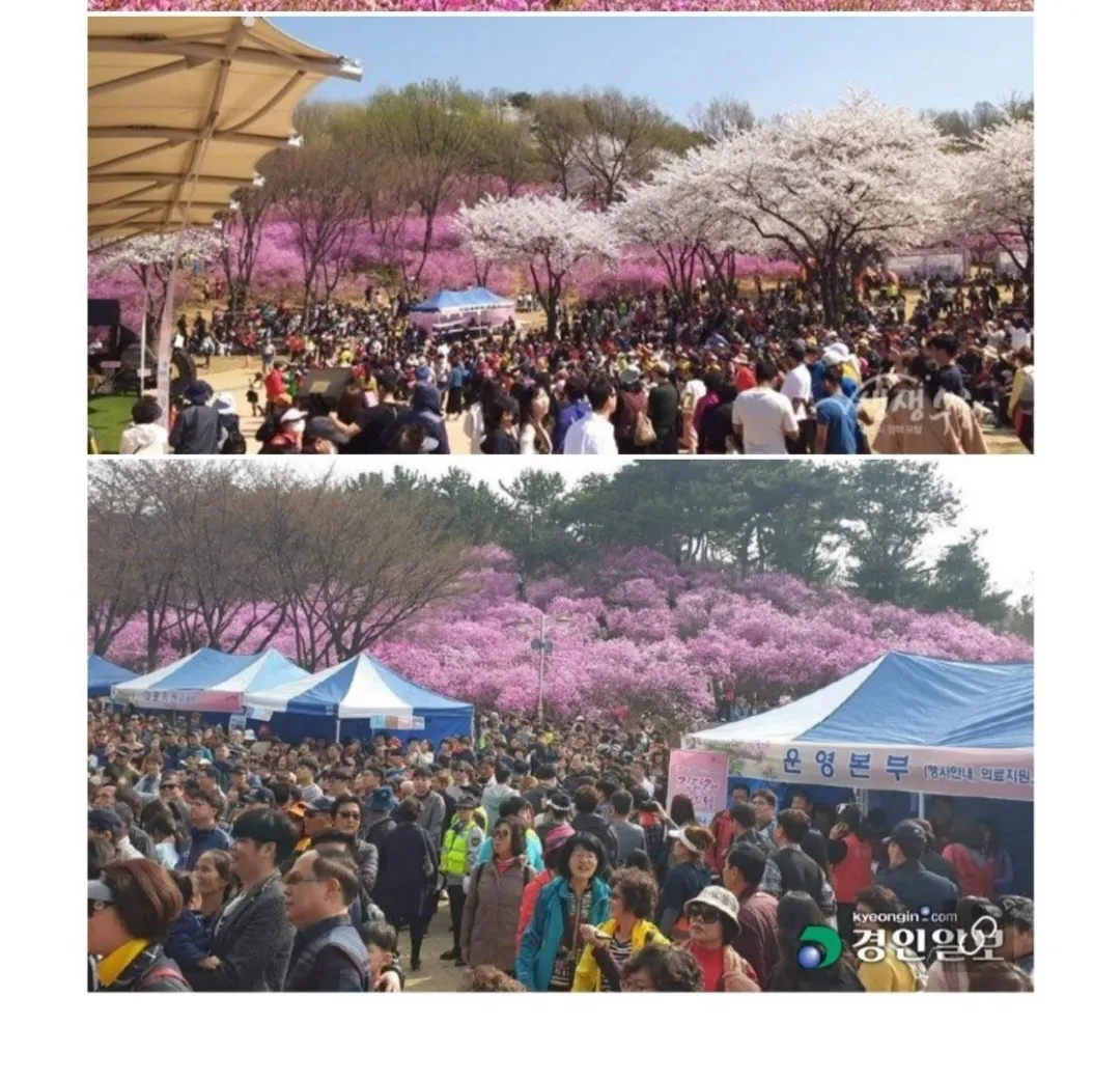 행사안내와 의료지원을 담당하는 운영본부