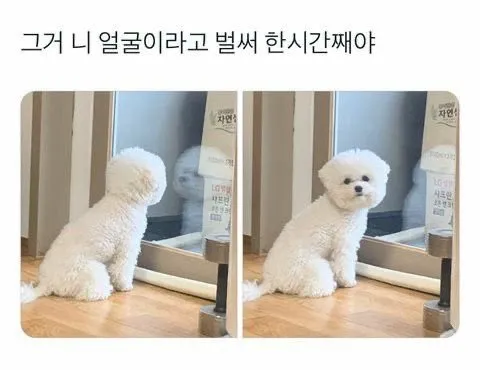 ‘그거 니 얼굴이라고’라는 문구가 적힌 이미지