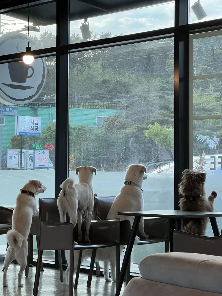 운영이 엉망인 인천 영종도 카페 내부 모습