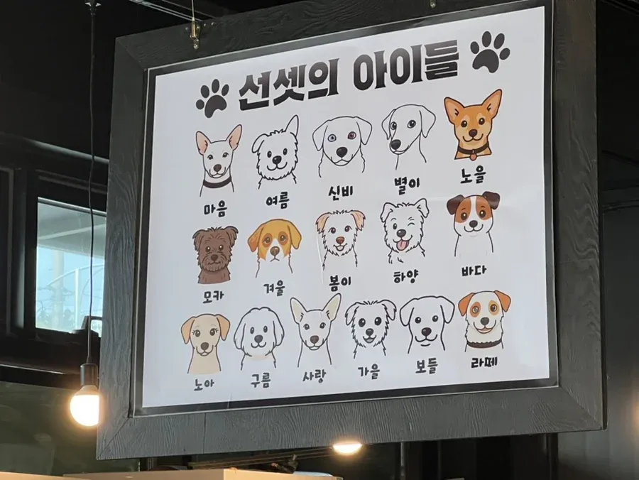 인천 영종도 카페 운영 관련 안내 문구 이미지